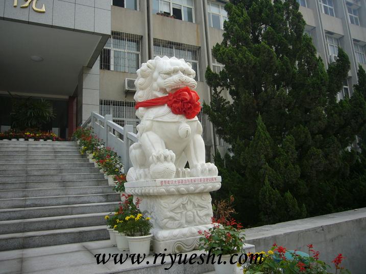 ��h�h����{��