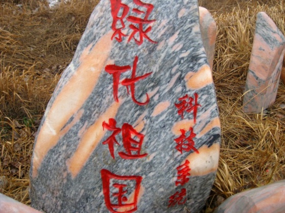 ��h���^ʯ��ƺʯ