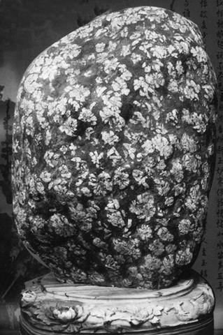 ĵ����ʯ���������M���Ҹ�