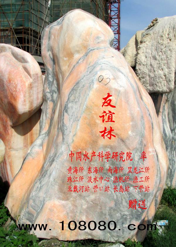 ��h����ʯ