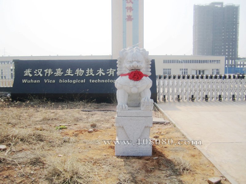 �S��ʯ�{��