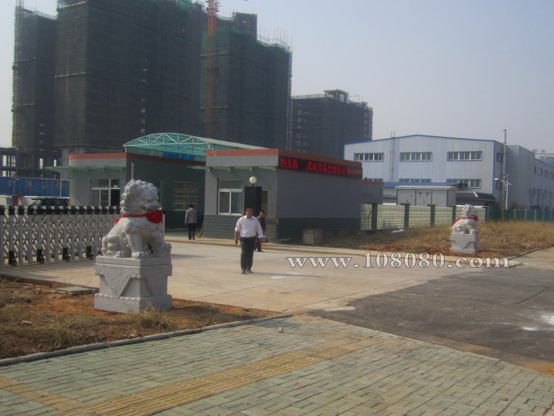 �h��ʯ�{��