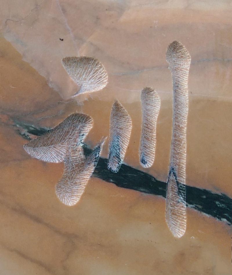 ��h�T��ʯ����