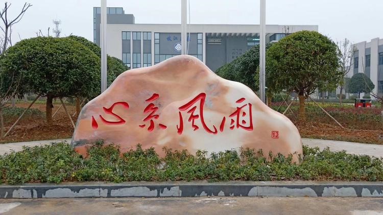 ��h��ϼ�t����ʯ