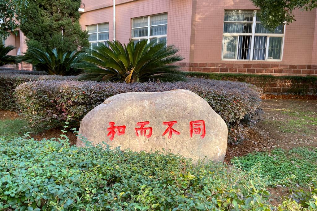 �̌����^ʯ�S��