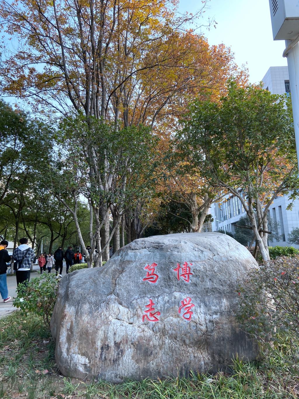 ����̩ɽʯ�S��