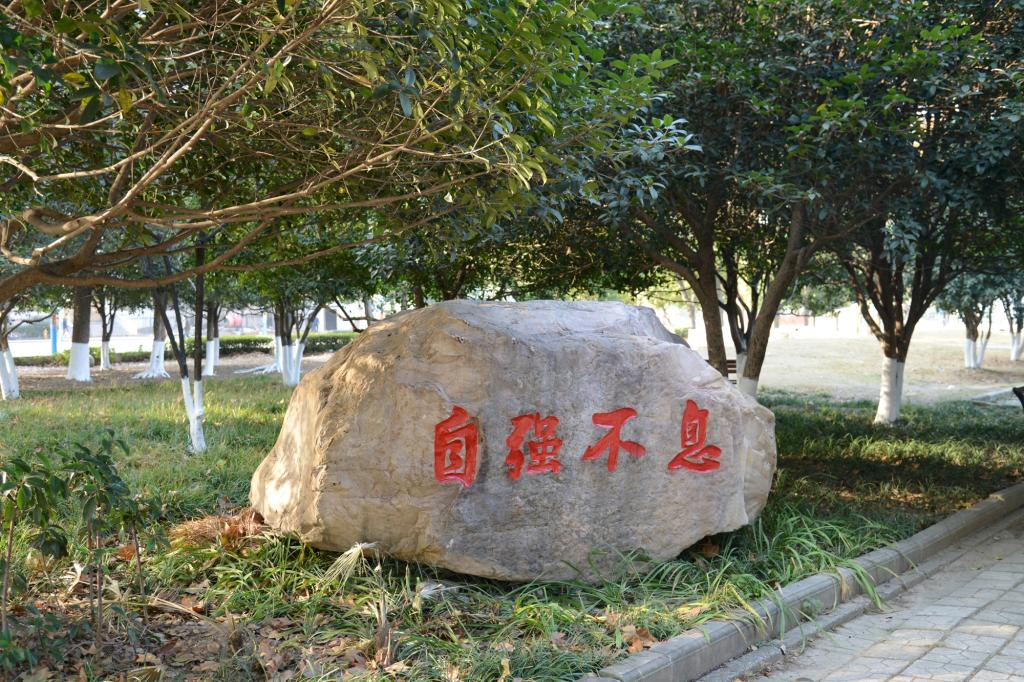 ���Ҿ��^ʯ�S��