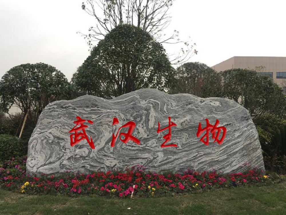 ��h���ﾰ�^ʯ